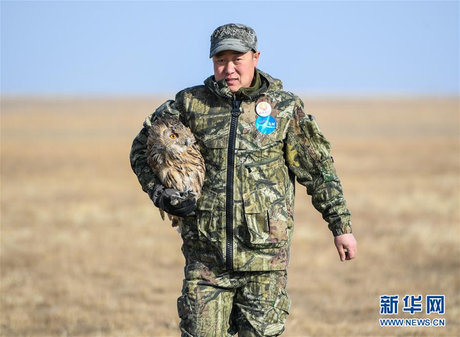 内蒙古：呼伦湖畔的野生动物守护者