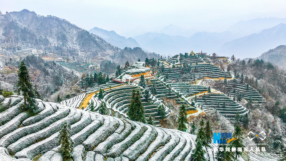 湖北宜昌：雪后茶乡分外美