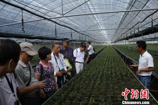 臺灣媒體代表團走進云南祿勸贊彝族刺繡