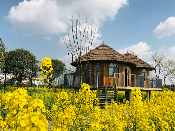 成都新都升级打造芳华微马公园 实现"运动 赏花 乡村旅游"深度融合-国