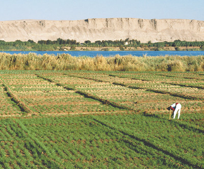 确保耕地数量 提升耕地质量