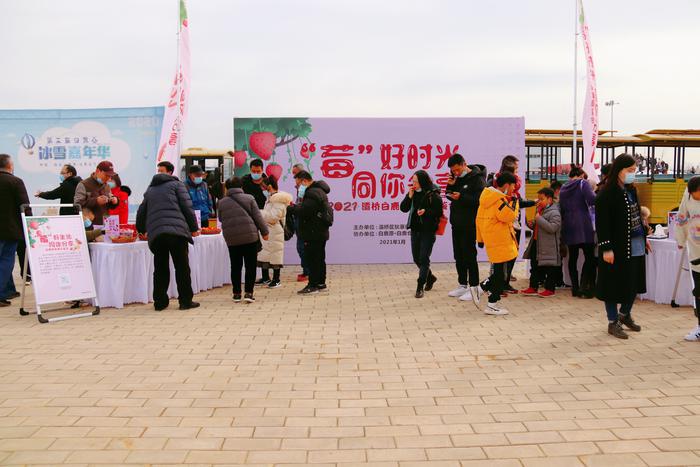深化农旅融合 助力乡村振兴 灞桥区冬季草莓品鉴活动白鹿原启动