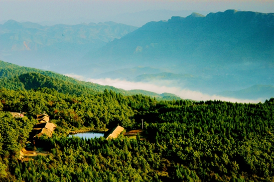 貴州六盤水：著力推進林業生態高品質發展