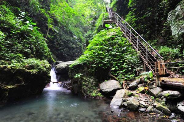 宜蘭：泰雅族土著的神山 迷霧下的森林之美