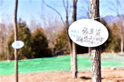 Yanqing: Construction officially restarts on the Winter Olympics Forest Park_fororder_延庆_1