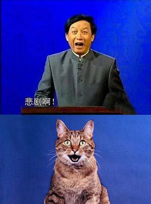 范冰冰小瀋陽周傑倫 爆笑:明星像什麼動物(圖)