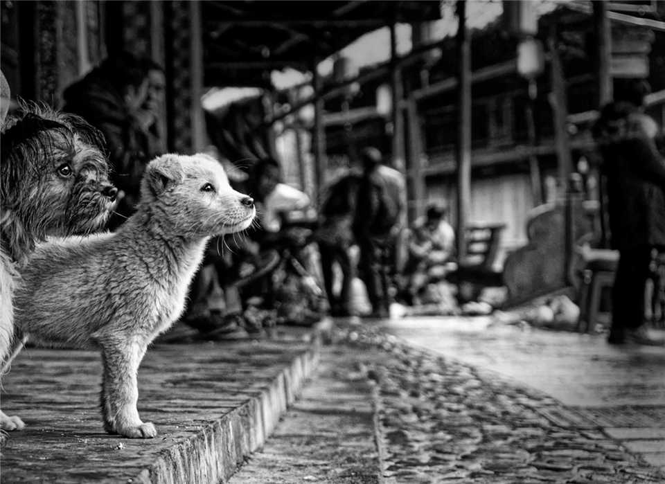 Expectation_fororder_期盼 阿·托特·尤若夫 DS_05968_DxO-átj_DxO-emlékkép