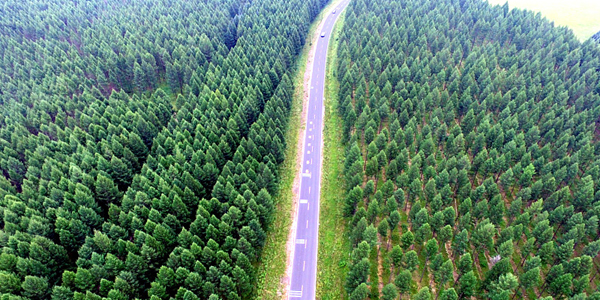 น้ำใสเขาเขียวก็เป็นดั่งภูเขาทองภูเขาเงิน_fororder_20210201两山理论1