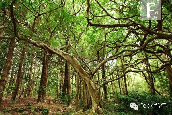 史上最全的臺(tái)灣電影目的地！