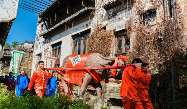 หมู่บ้านโบราณอู้หยวน “เฆี่ยนวัว” เฮรับ “วันเริ่มต้นฤดูใบไม้ผลิ”_fororder_chunniu2