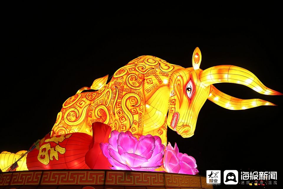 日照：6米高巨型“黄金牛”亮相东夷小镇