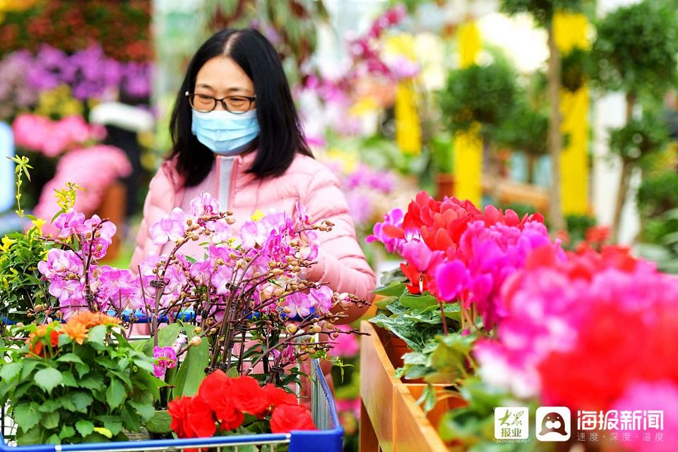 青岛:花卉市场姹紫嫣红迎新春