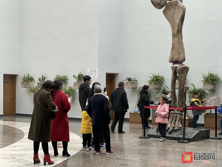 （转载）自贡旅游別样美 就地过年年味足 全市13个A级旅游景区接待游客24.56万人次