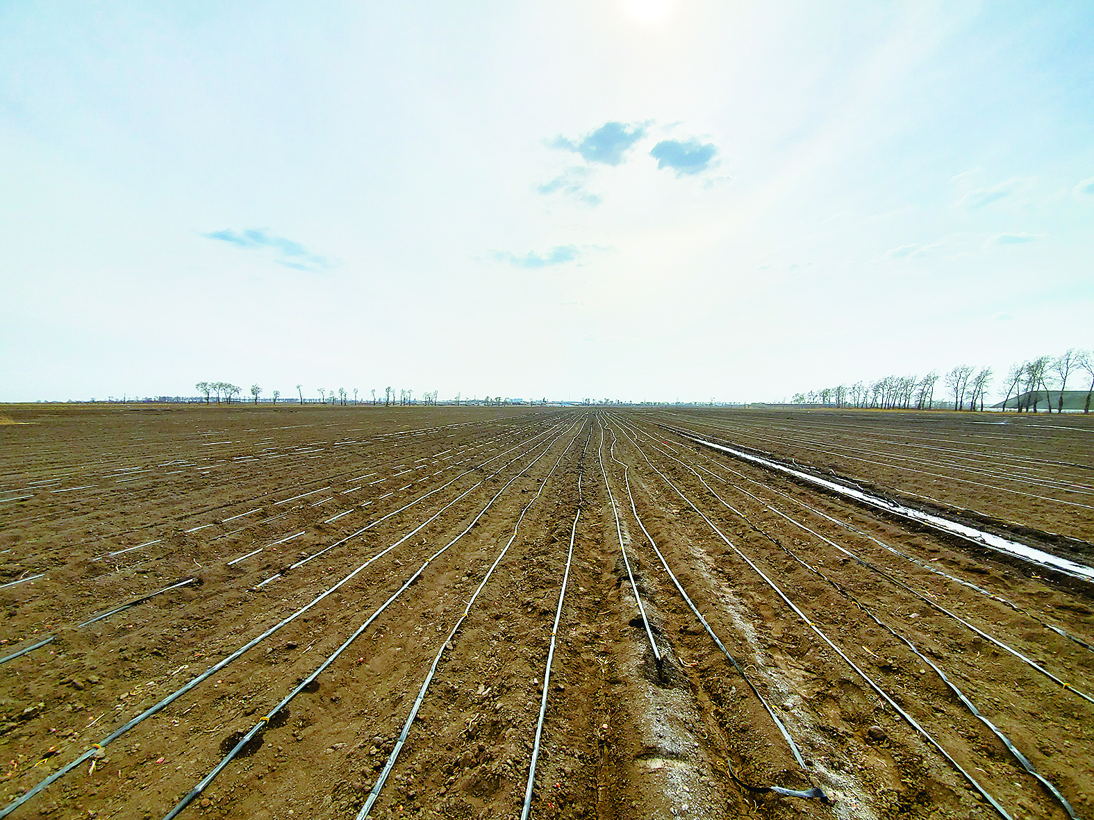 長春春耕：900公頃農田植入“毛細血管”