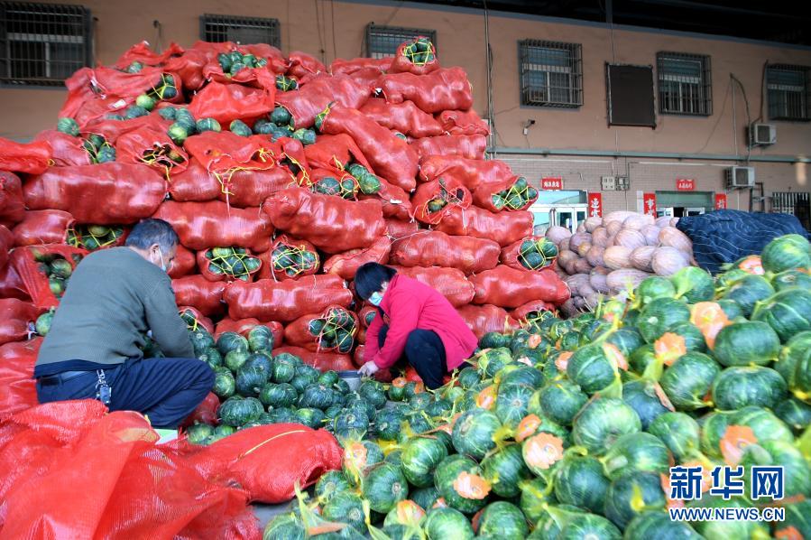 河南春节市场农产品供应充足