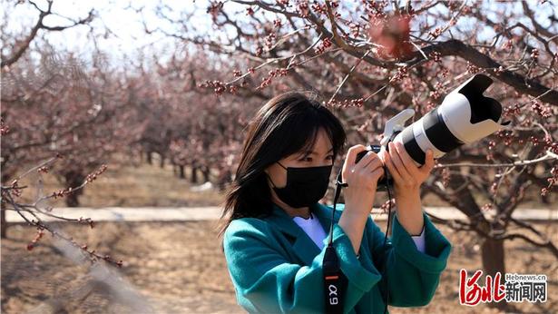 【雲上賞春】河北:春來到 花枝俏