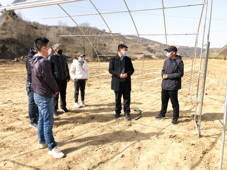 【中首  陜西  圖】延安市河莊坪鎮：“特色+科技”讓精準扶貧和農村産業發展同頻共進