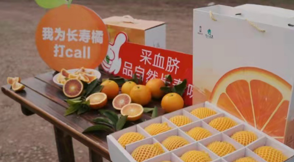 【B】重庆“长寿橘”熟啦  本土新媒体达人们线上邀你来采果品果_fororder_微信图片_20210207153124