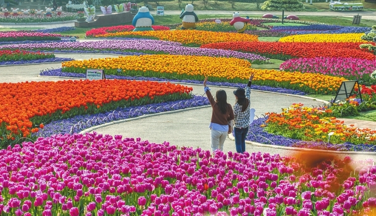 踏青健身 春遊賞花 週末的成都 近郊遊正在“復燃”