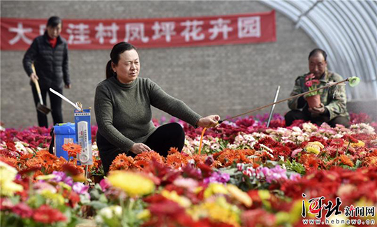 圖片默認標題_fororder_01