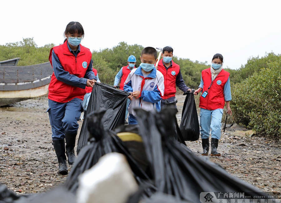 碧海红树白鹭飞－－记南方电网红树林白鹭保护队9年守护广西北部湾生态环境