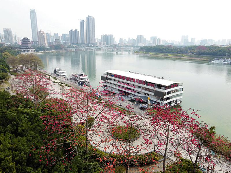 南寧：滿城春色關不住 一路繁花皆勝景