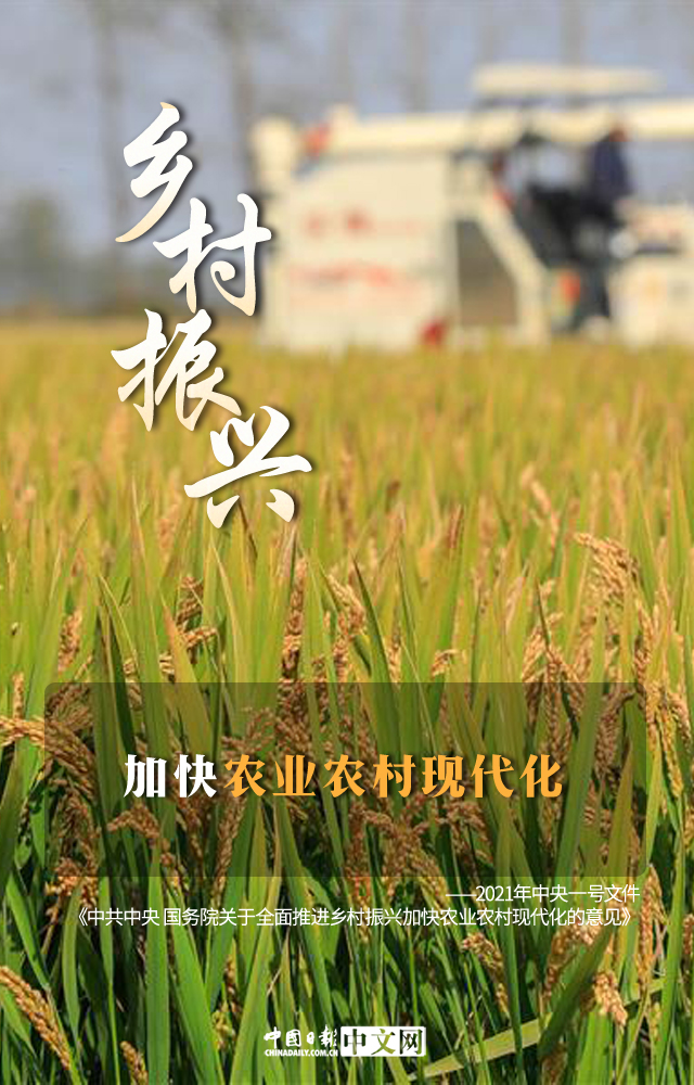 2021年中央一号文件21日正式发布.