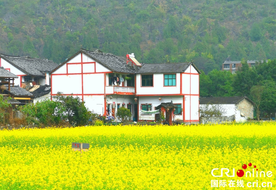 （有修改）贵州黔西南：万峰林春色满田园