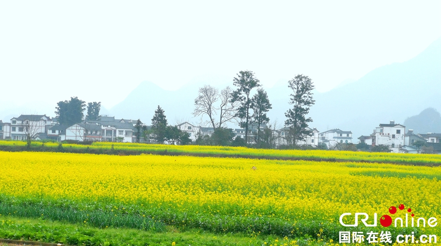 （有修改）贵州黔西南：万峰林春色满田园