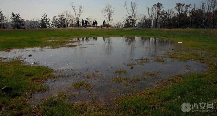 关注!长安公园有望3月底开园迎客