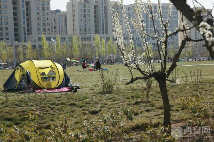 关注!长安公园有望3月底开园迎客