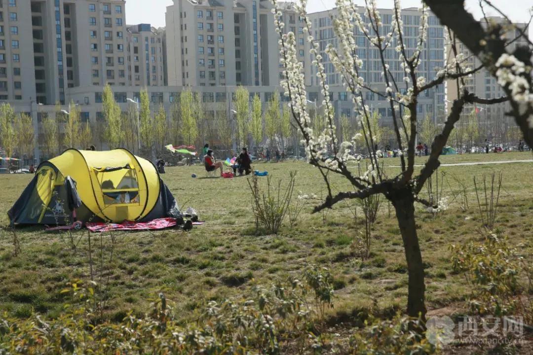 关注!长安公园有望3月底开园迎客