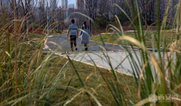 关注!长安公园有望3月底开园迎客