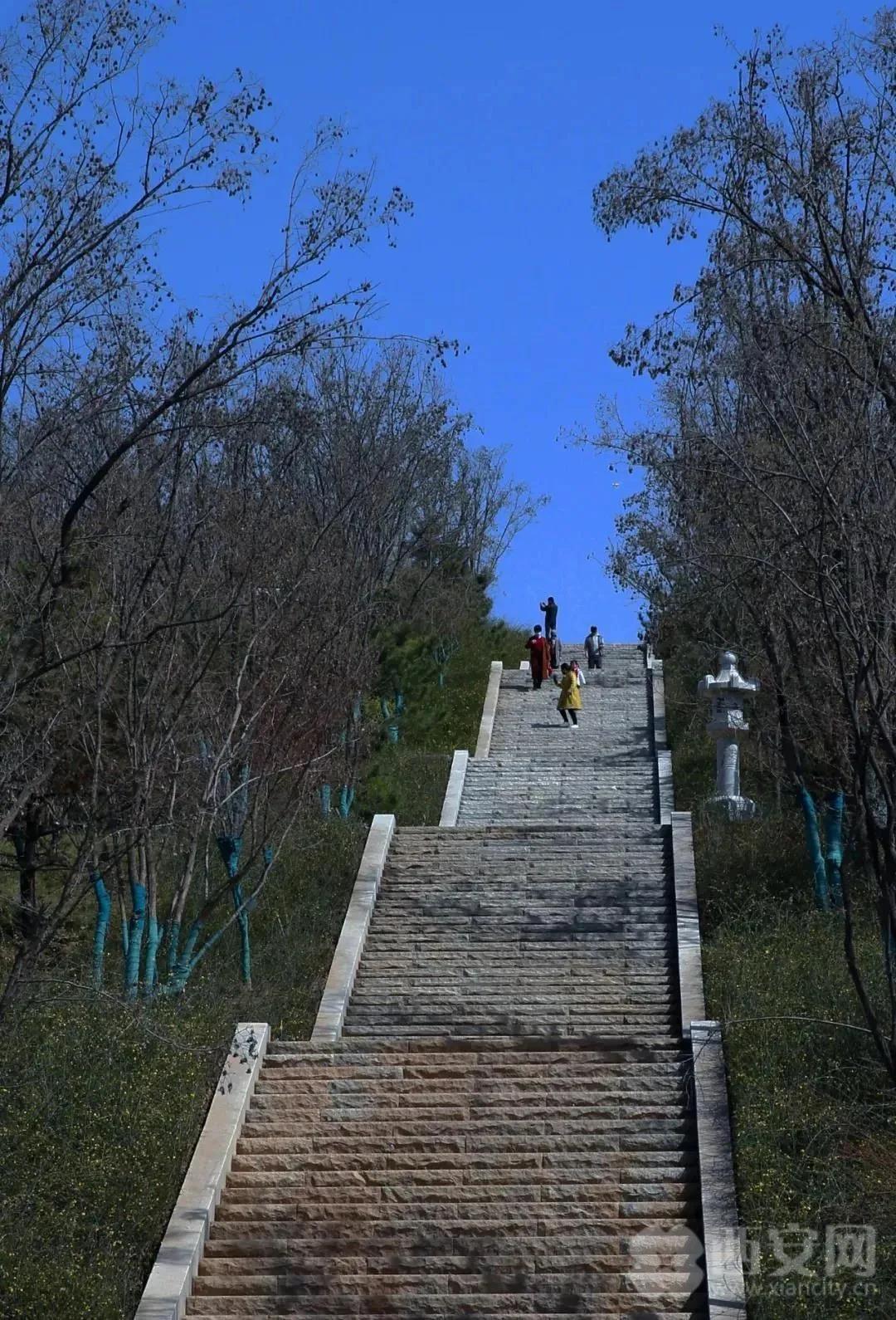 关注!长安公园有望3月底开园迎客