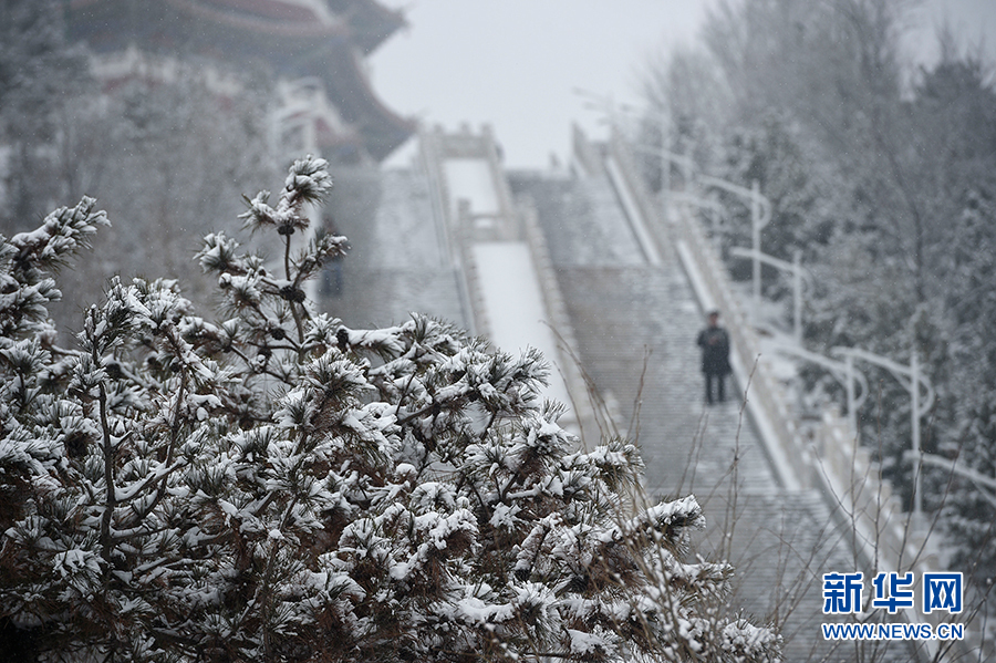 宁夏固原：雪落古雁岭