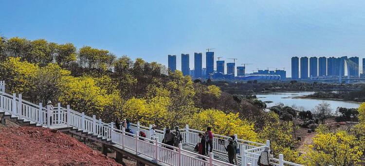 持续擦亮“中国绿城”金字招牌 打造更高水平生态宜居城市