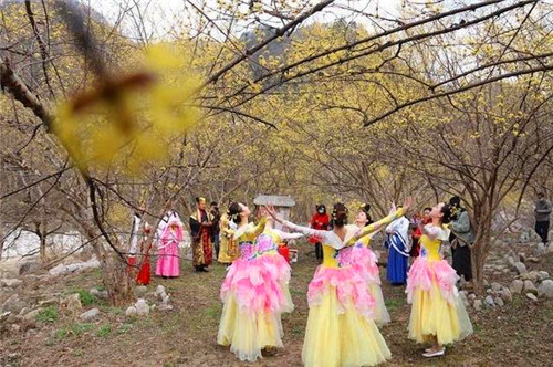 漢中佛坪“茱萸花海踏春遊”活動啟動