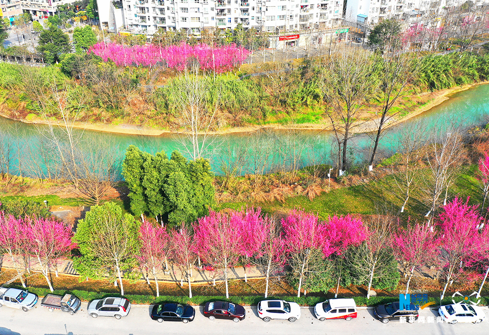 航拍重庆柏杨河：一点春一点俏 几分花香几分闲