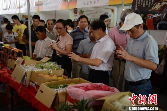 两岸农产品采购订货会南安开幕主打“电商”牌