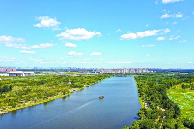 衝刺！北京副中心創建國家森林城市