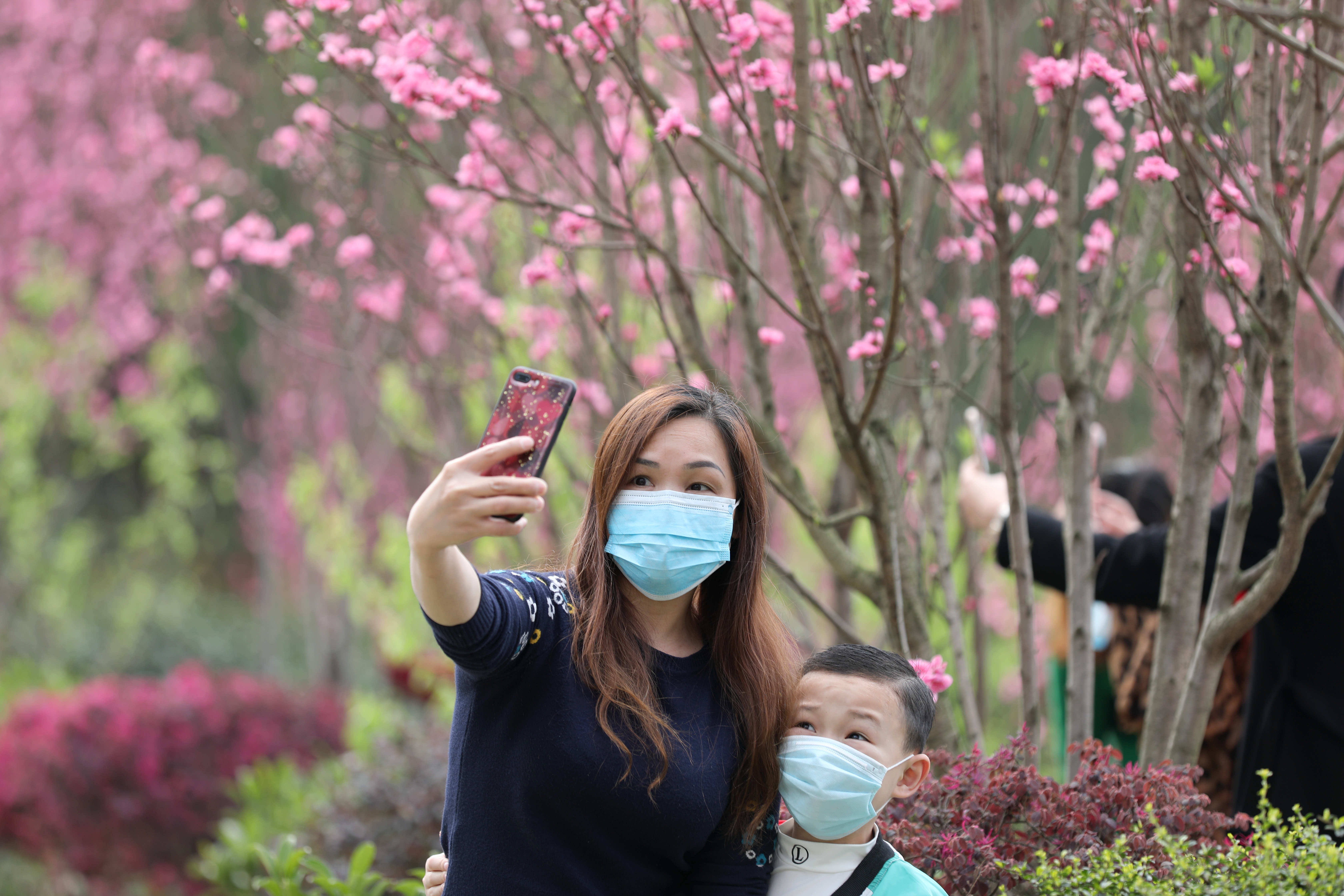 （文中做了修改）广西三江：桃花盛开醉游人