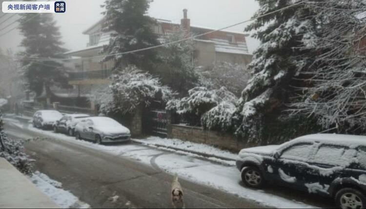 希腊北部和中部地区普降大雪 主要公路通行受影响