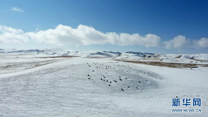 Salju di Musim Semi_fororder_salju10