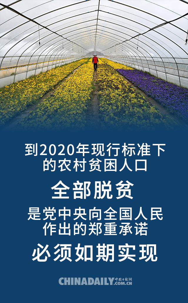 不放松,凝心聚力打好打赢脱贫攻坚战,坚决夺取决战决胜脱贫攻坚的全面