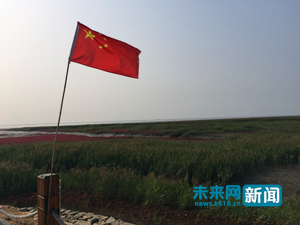 【砥礪奮進的五年】守住一片紅灘綠葦 打造中國濕地名片讓世界驚艷