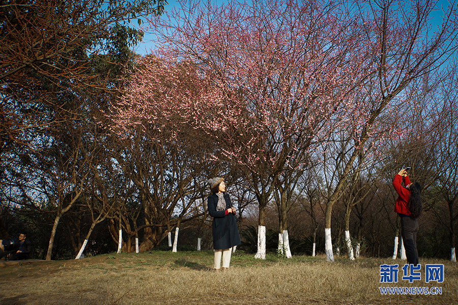 【城市遠洋】重慶：春色盎然惹人醉 花影婆娑迎客來