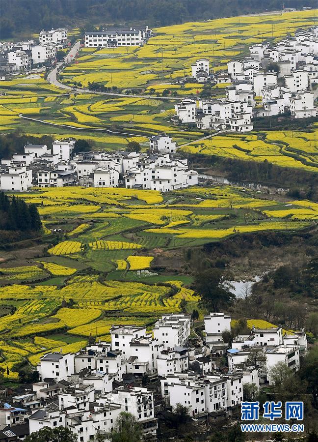 图片默认标题_fororder_1125724263_15844169564031n