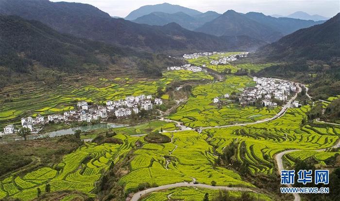 图片默认标题_fororder_1125724263_15844169564931n