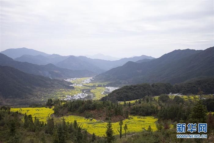 图片默认标题_fororder_1125724263_15844169565221n