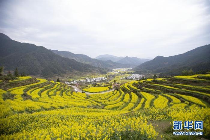 图片默认标题_fororder_1125724263_15844169564401n